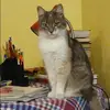 Отзыв от Наталья Завьялова